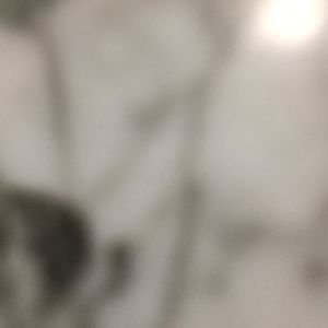 Meet your Posher, Caden